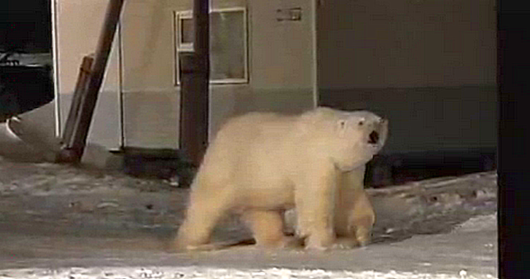 Фото: Вячеслав Ковалевский 