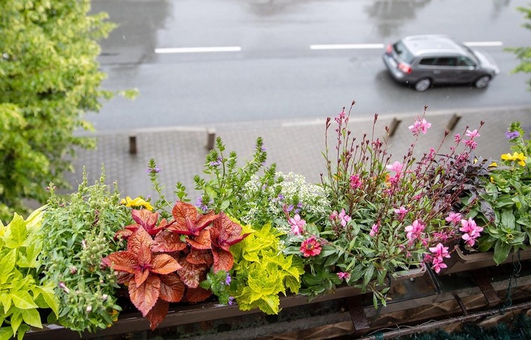    Daniel Karmann/dpa/Global Look Press