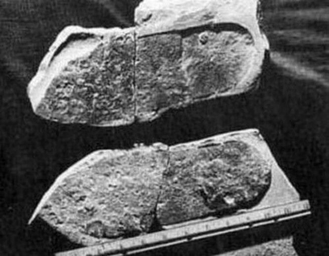 Археологические аномалии, генетические загадки и гипотезы, о которых молчит наука. Артефакты, которые «не должны существовать». Окаменелый след обуви, раздавивший трилобита.