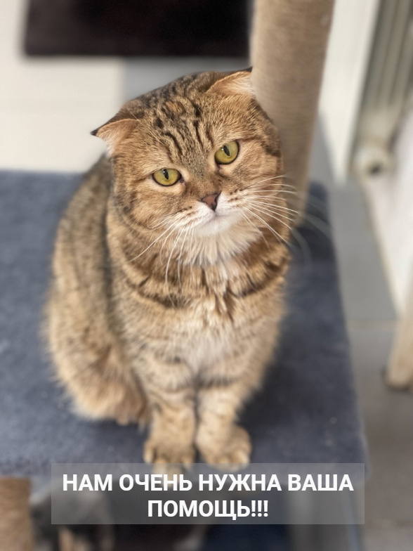 Кася переживает