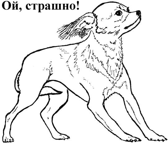 Рисунок автора.