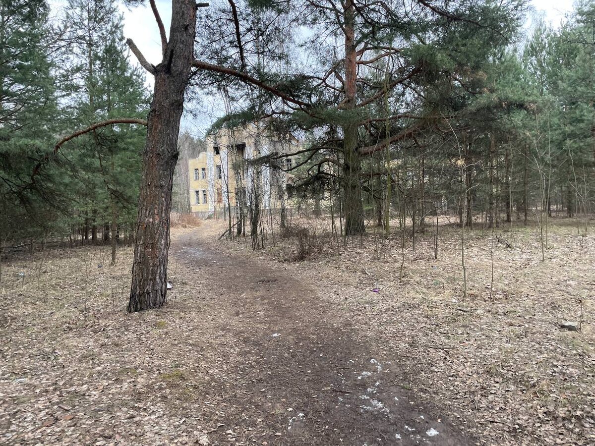 Заброшенный завод На одной из  фотографий видно, как мрачный фасад без стёкол возвышается среди деревьев. Его стены испещрены трещинами, и местами будто пробиты ударами тяжёлых инструментов. Сквозь проломы в стенах проглядывают фрагменты арматуры, а внизу навалены обломки бетона.