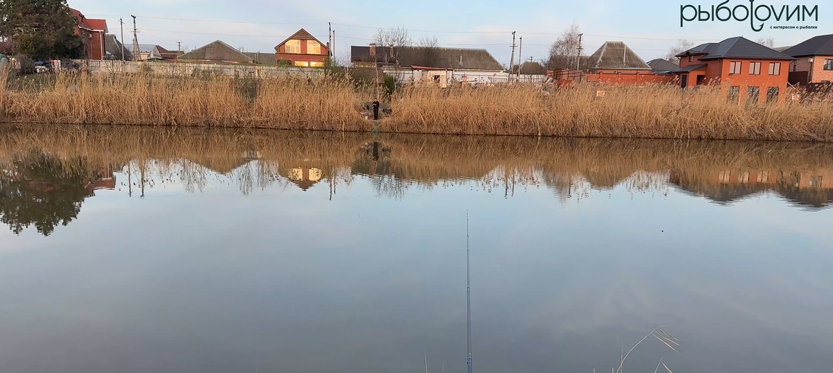 Рыболовный пруд.  Фото автора, при использовании ссылка обязательна.