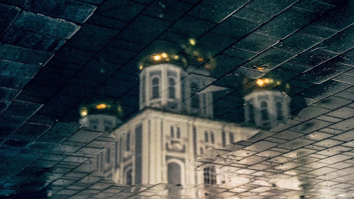 Светлана Мулыкина📷
