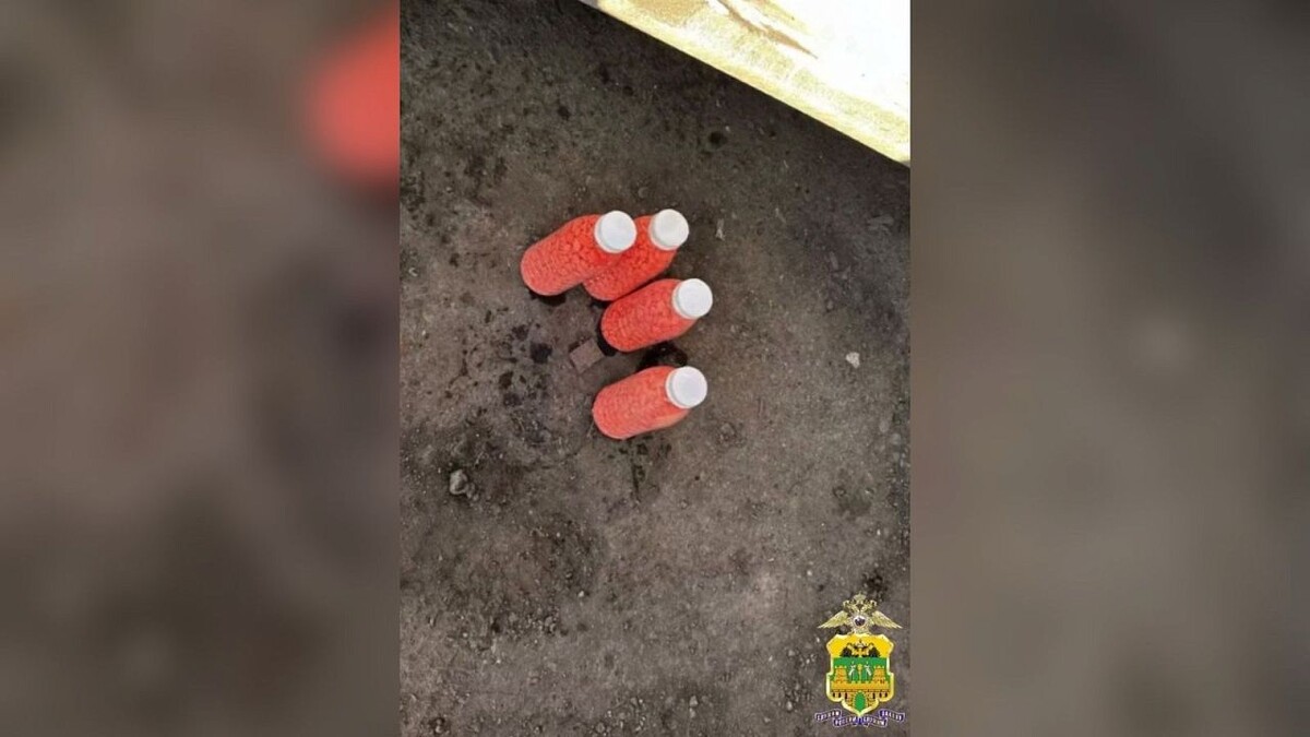    Фото: пресс-служба ГУ МВД России по Краснодарскому краю