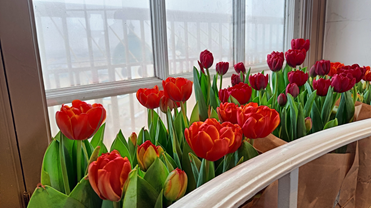 Фотография взята с официальной группы Думской башни ВКонтакте