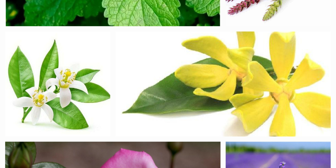 Парфюм сделает ваш сон волшебным.