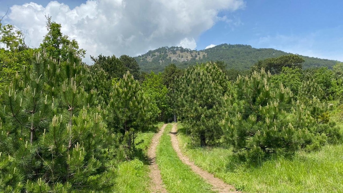 Тропа Палласа // Фото: пресс-служба ФГБУ «Заповедный Крым»
