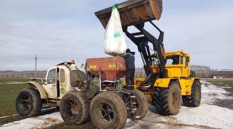    Какими удобрениями подкармливают озимые в Татарстане