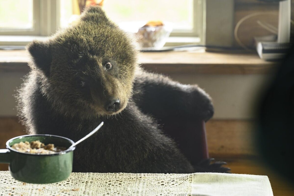     Централ Партнершип