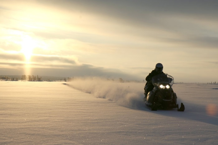 Фото: открытые источники