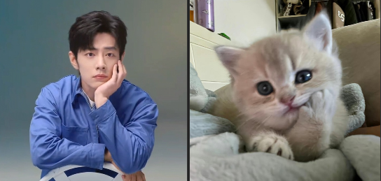 фото из открытых источиков