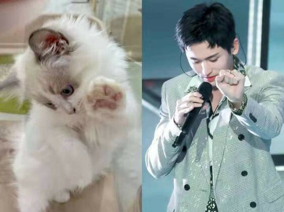 фото из открытых источиков