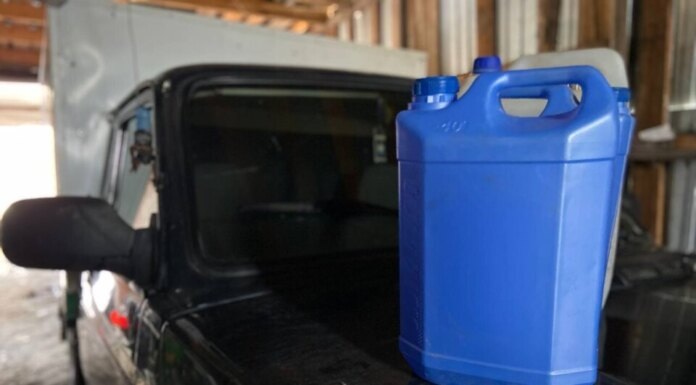    Фото Дарьи Шевцовой