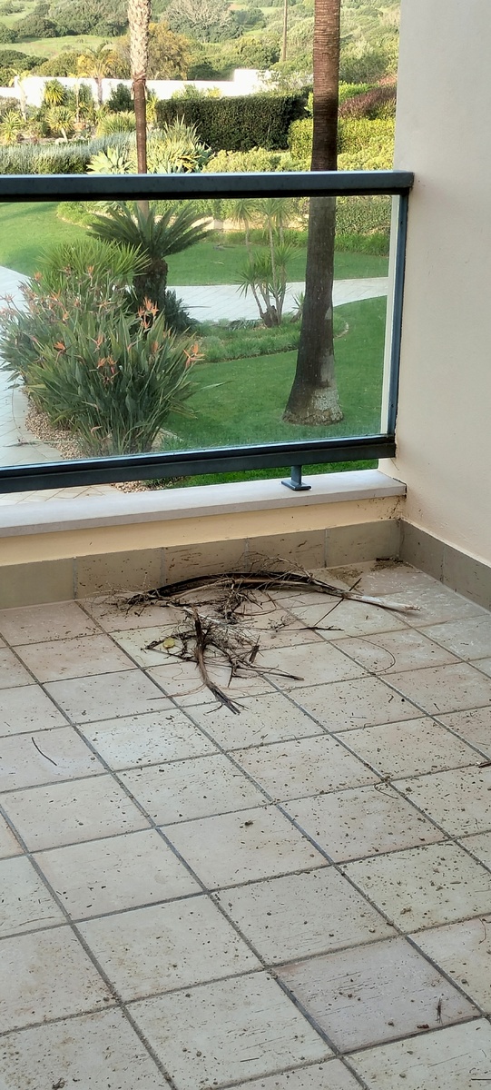 Вот такая чистота 🤷