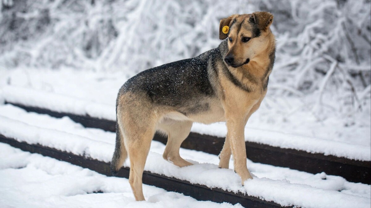    Фото: n.k.junky/Shutterstock/Fotodom