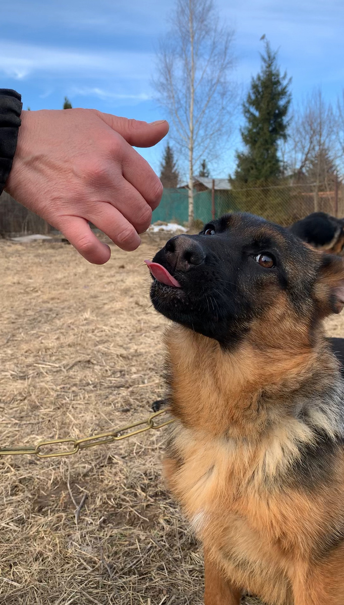 Подрощенная Тильда