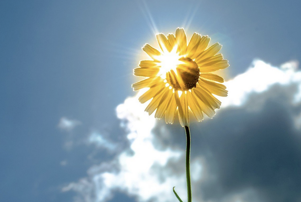 Фото: из открытых интернет-источников