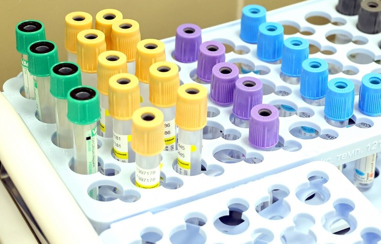    Сергей Петров/NEWS.ru