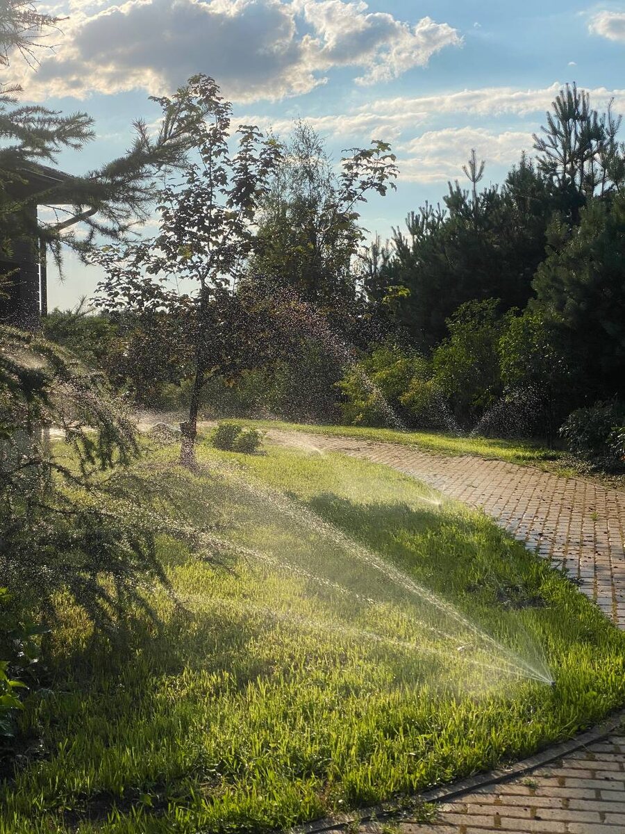 Фото работающей системы полива