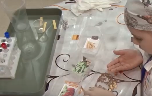     Маленькие фермеры из Иланского района приняли участие в необычном чемпионате