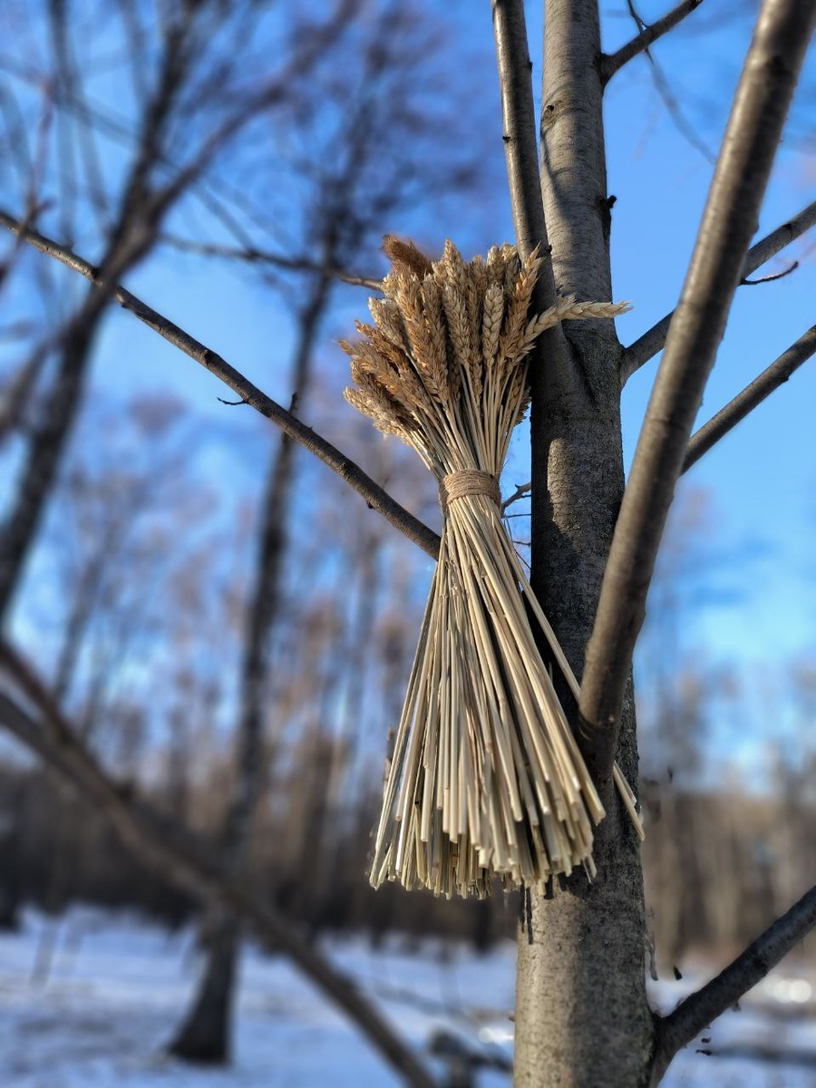 Весна. Фото автора.