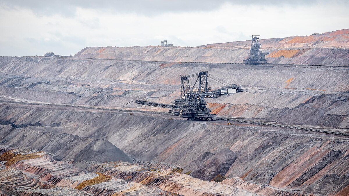    Фото: freepik.com/wirestock