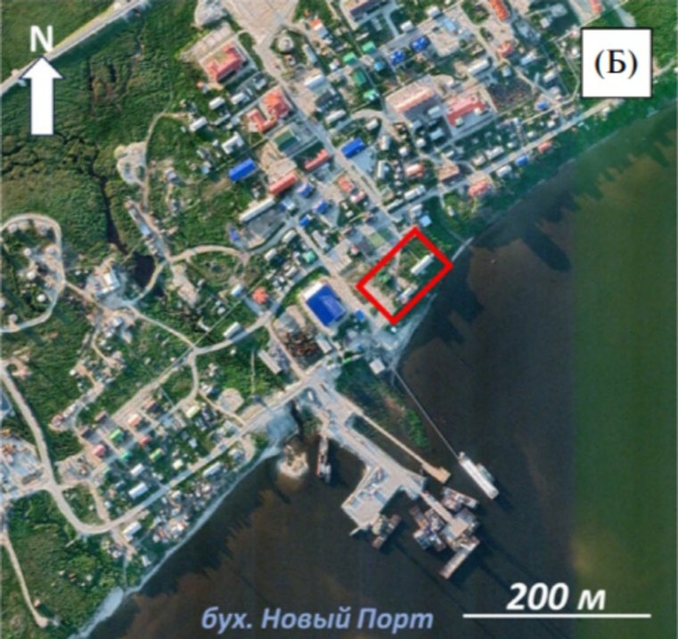 Расположение мерзлотника в поселке Новый Порт. Фото: «Известия Русского географического общества»