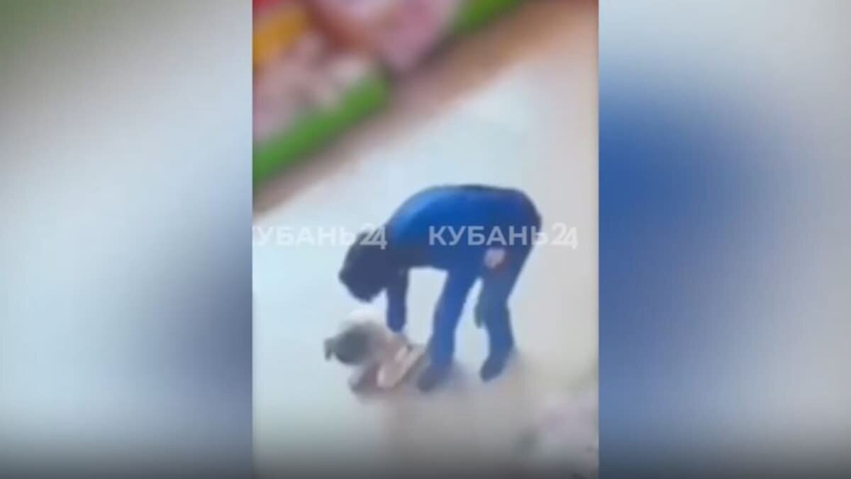    Скриншот видео «Кубань 24»