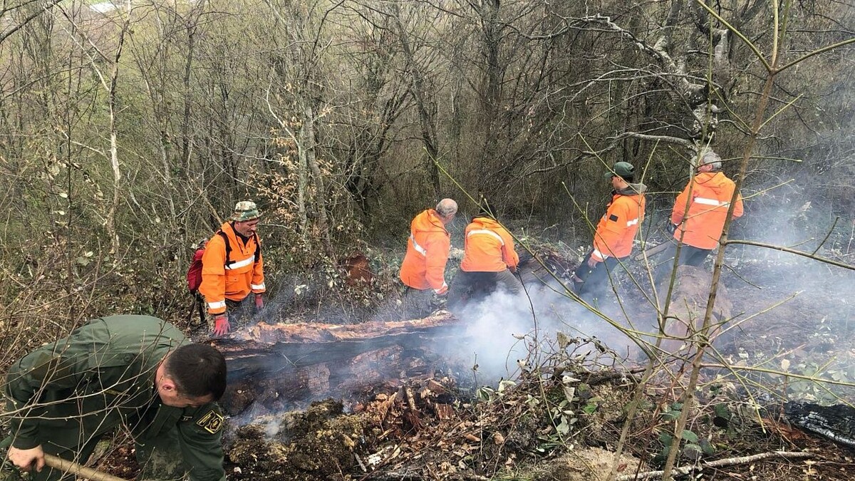    Фото: пресс-служба Сочинского национального парка