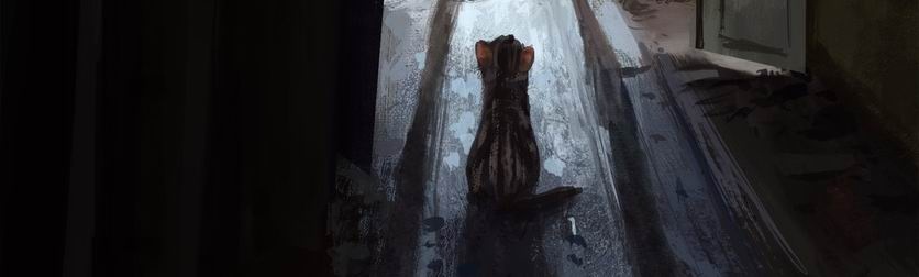 свободный источник интернета