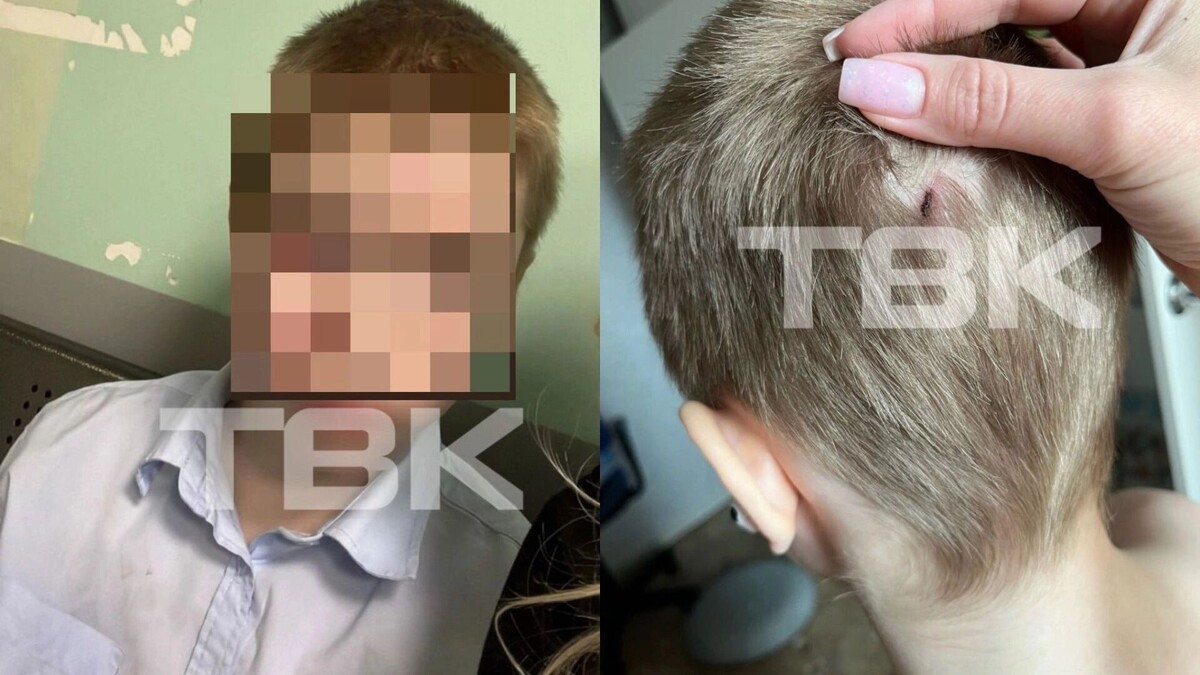     Источник: ТВК