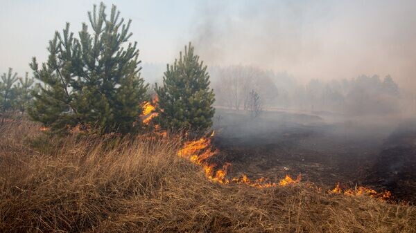    © РИА Новости . Игорь Агеенко