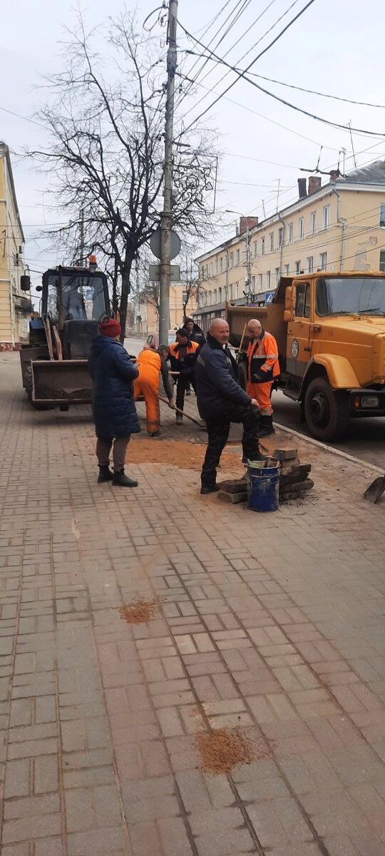    В городском хозяйстве продумают новые места для посадки деревьев. Фото: АиФ-Калуга/ Алексей Урусов