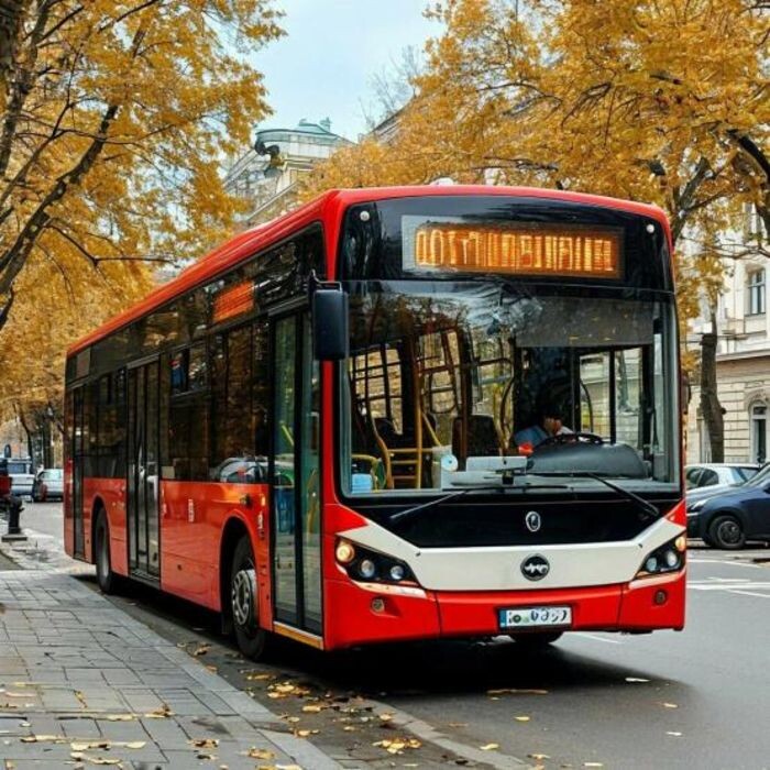 Источник фото: Шедеврум