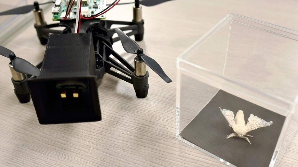 Фото: новостное агентство Asia News Network