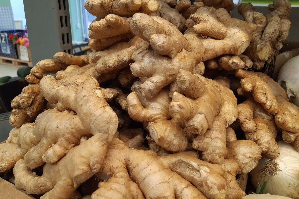 Фото: ИА Регион 71