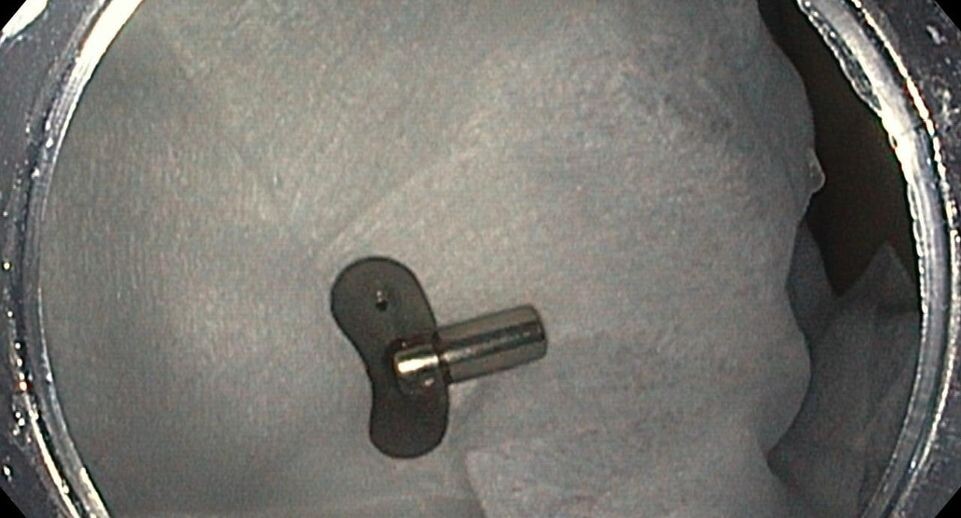    Пресс-служба Министерства здравоохранения Московской области