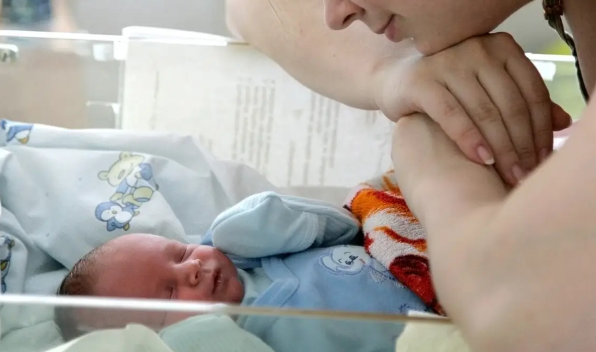 Фото носит иллюстративный характер: открытые источники