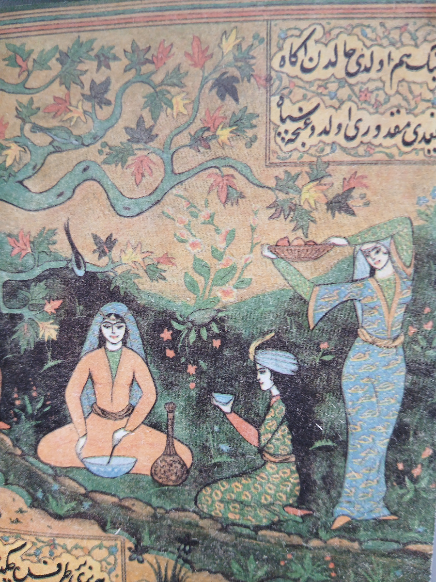 Иллюстрации к книге. Фото автора.