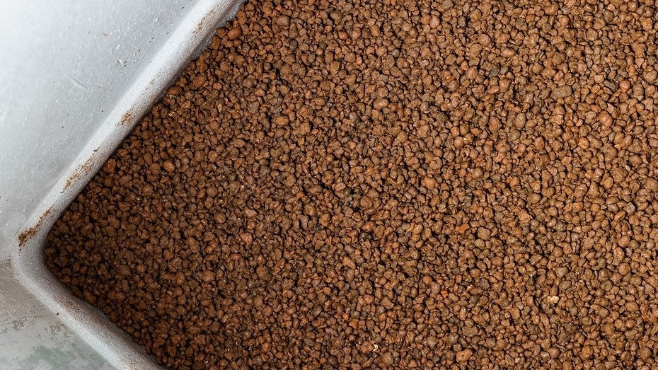 Фото здесь и далее ShutterStock/Fotodom.ru