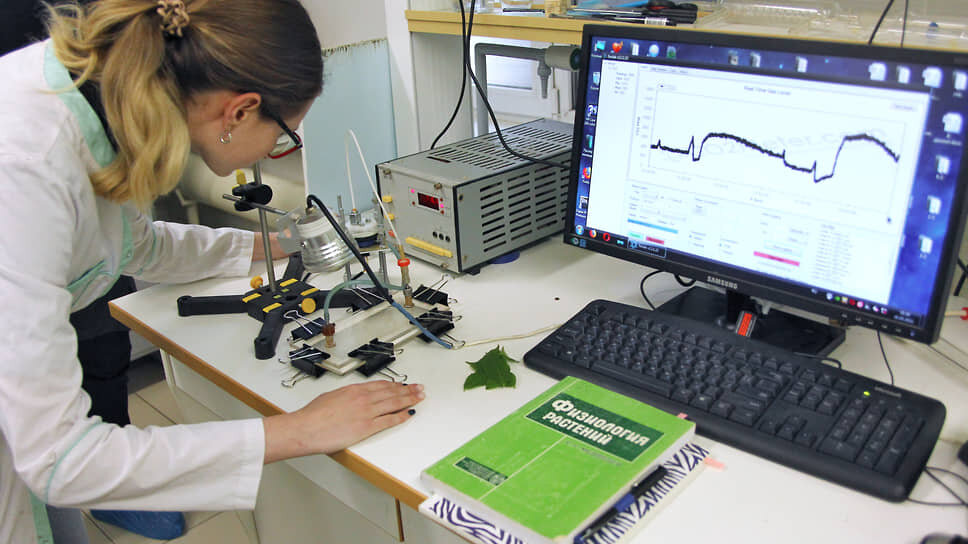 Фото: Василий Дерюгин / Коммерсантъ