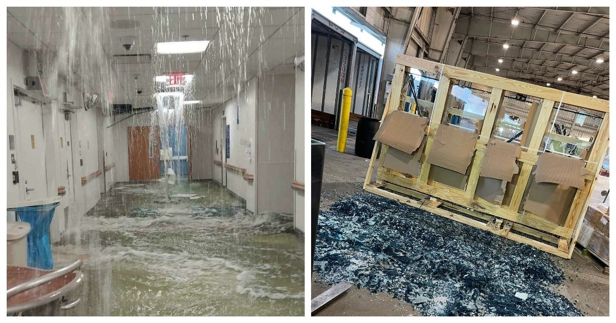 Источник: boredpanda.com