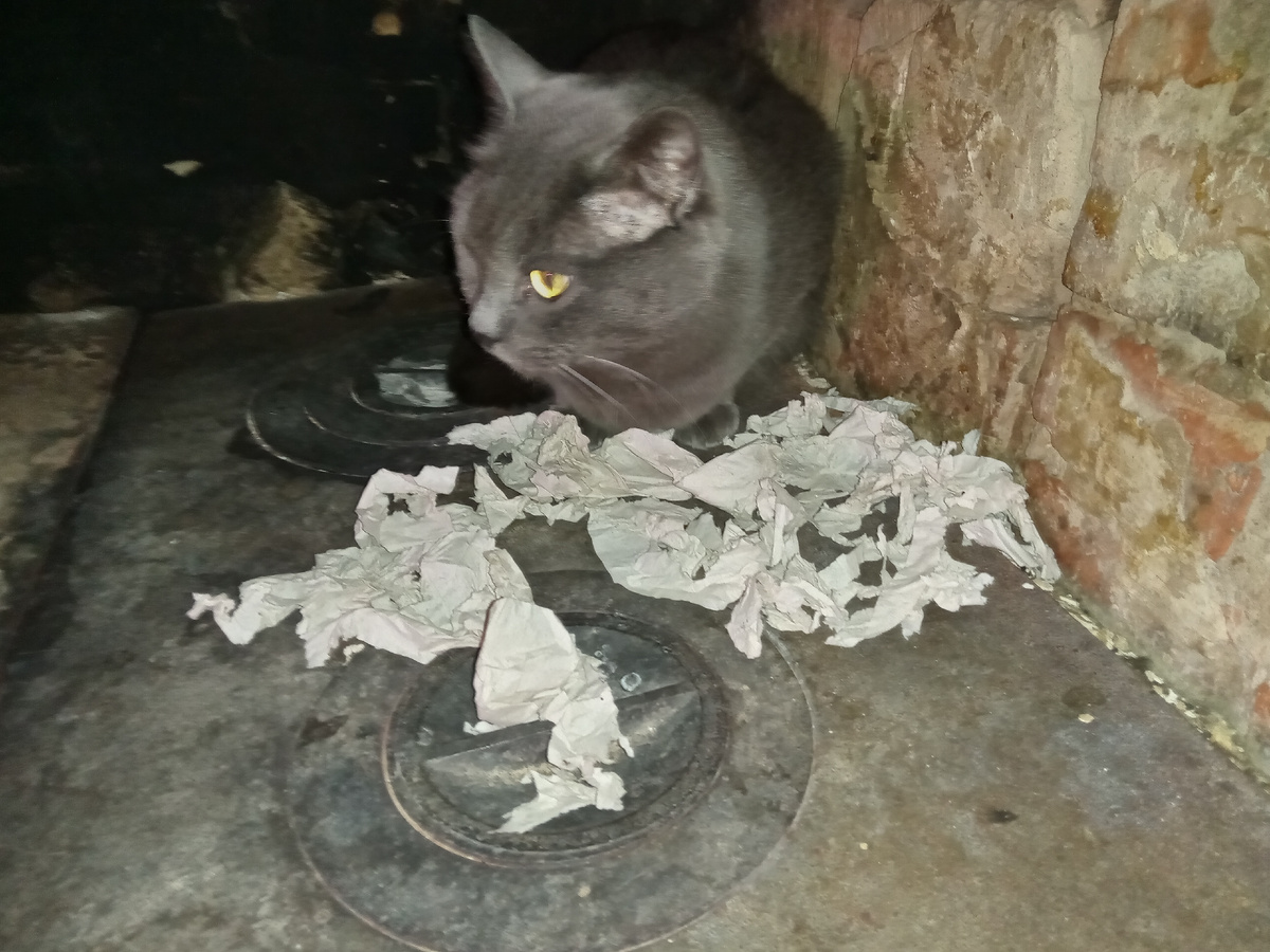 Растопку для печки готовил, не иначе