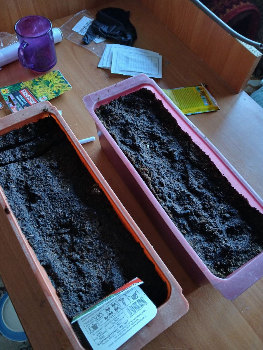 Подготовила грунт.