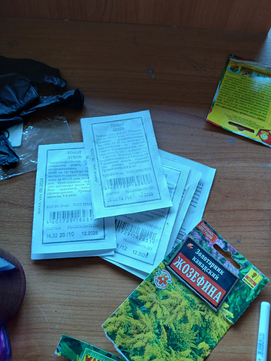 Семена. Золотарник тоже в кадр попал