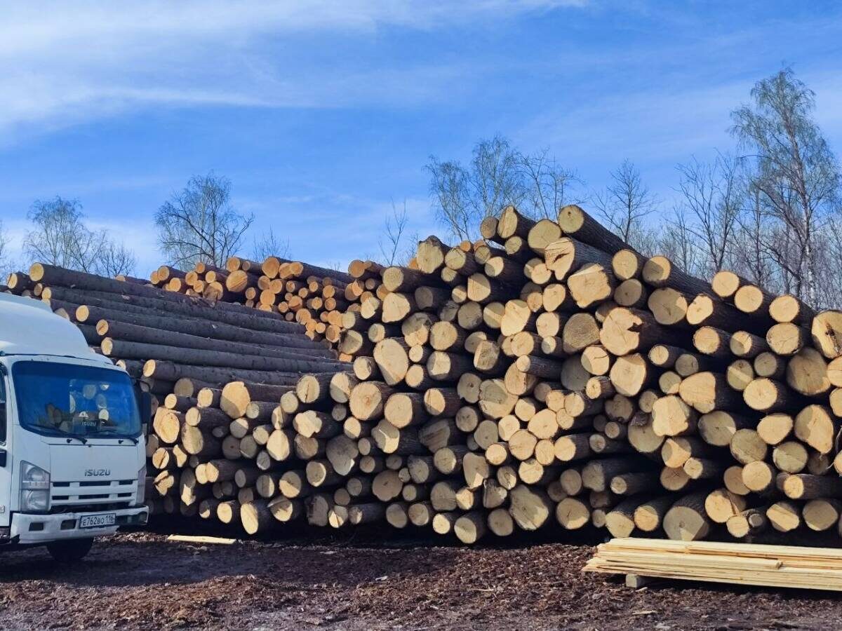 Фото предоставлено Миляушой Хазиевой