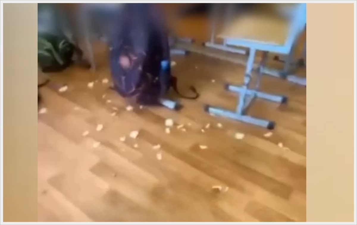 Учительница сделала замечание из-за мусора, но в ответ получила оскорбление и удар тетрадкой