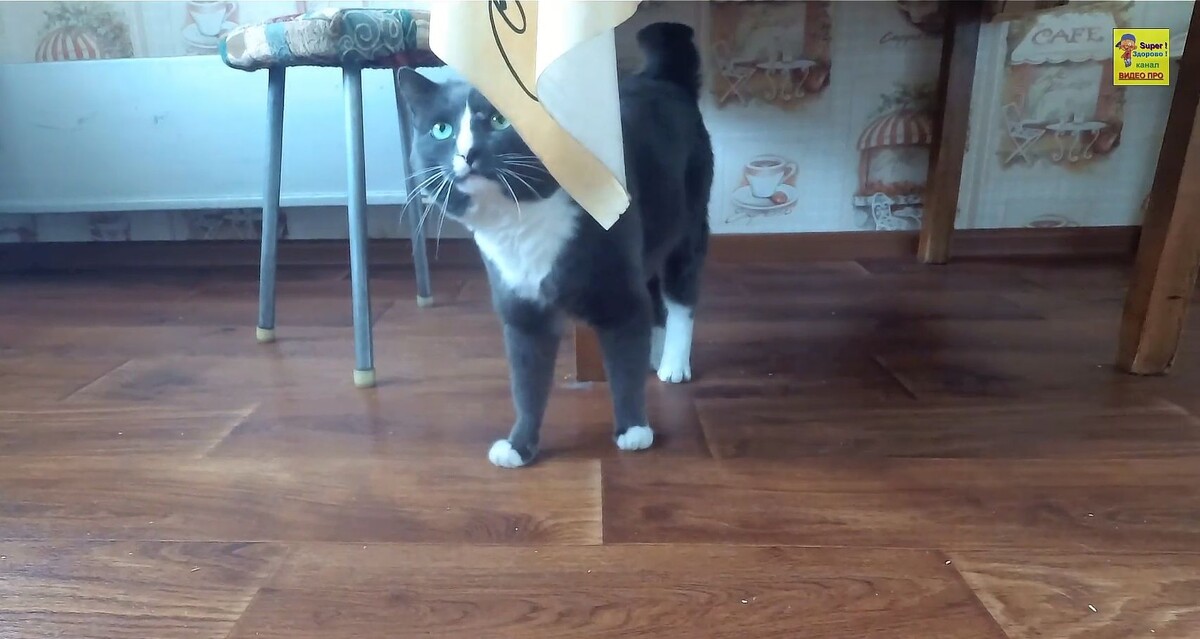 Игра в прятки )))