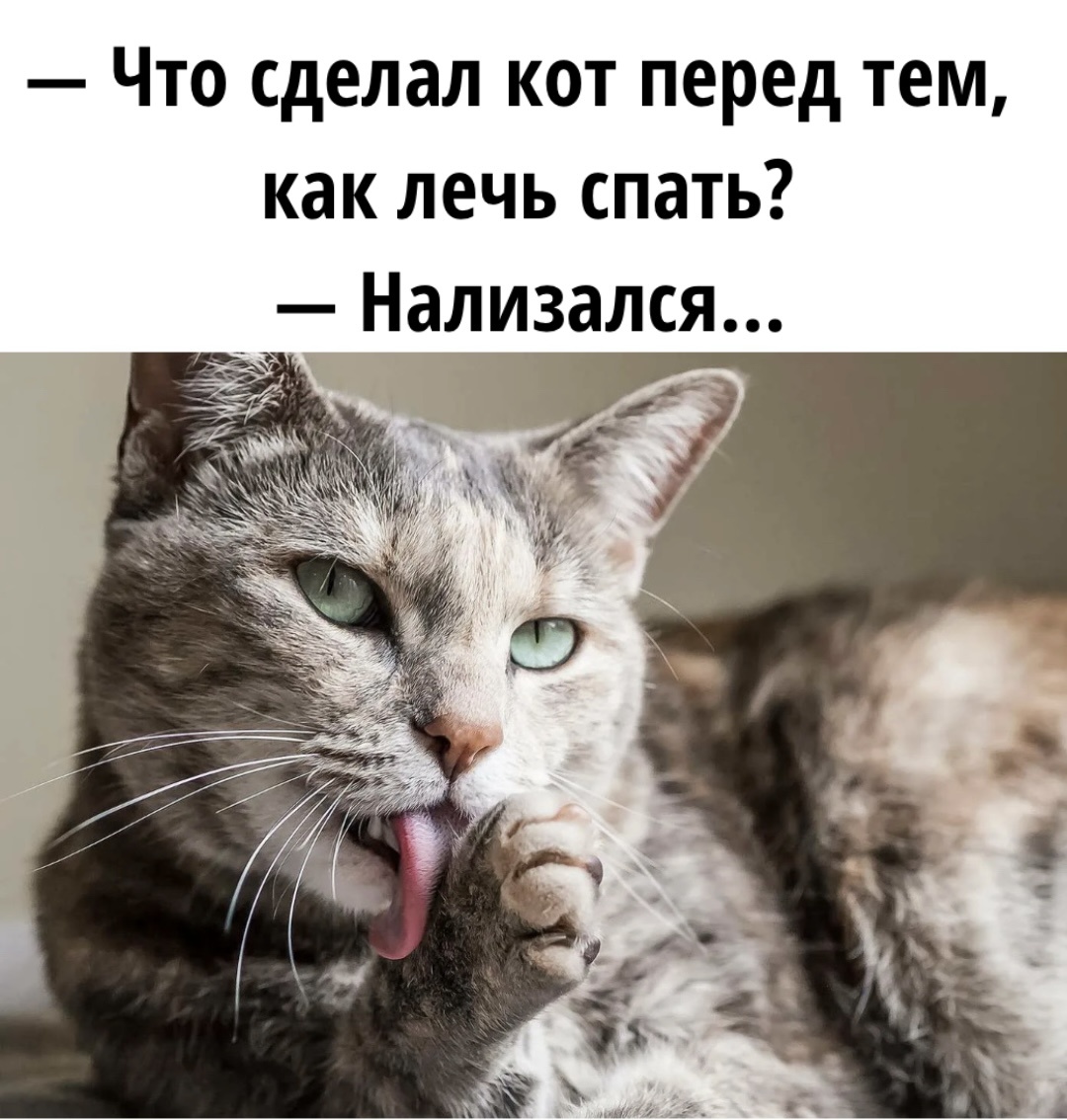 Картинку сделала сама